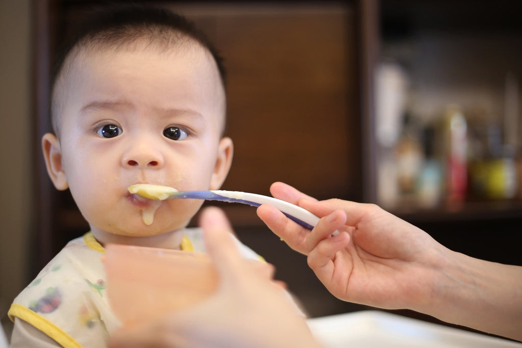 What should you feed your baby at 6 – 12 months?