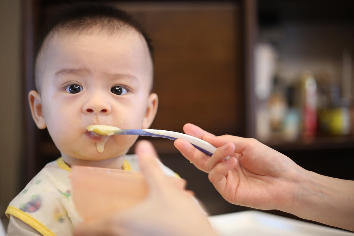 What Should You Feed Your Baby At 6 12 Months FirstDino what-should-you-feed-your-baby-at-6-12-months-firstdino