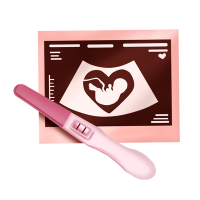 Pregnancy